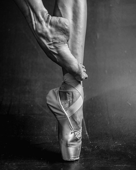 5e37ef4c28faeb50b4a5d4a1460c8b47